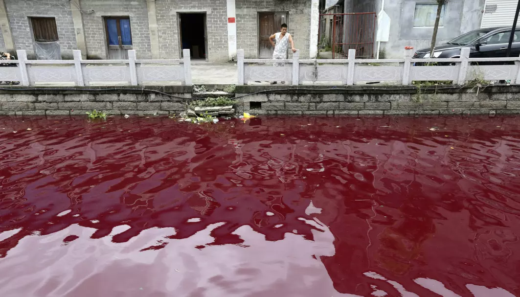 Slik kan det se ut når fargene havner på feil sted – på bildet er det en elv i Kina som er blitt rød etter at noen bøtter rødfarge ble stående på elvebredden.