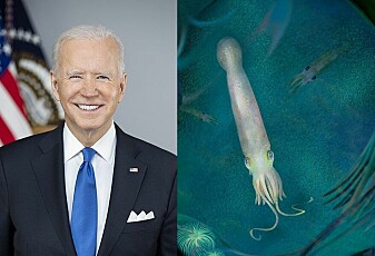 President Joe Biden har fått en eldgammel vampyrblekksprut oppkalt etter seg