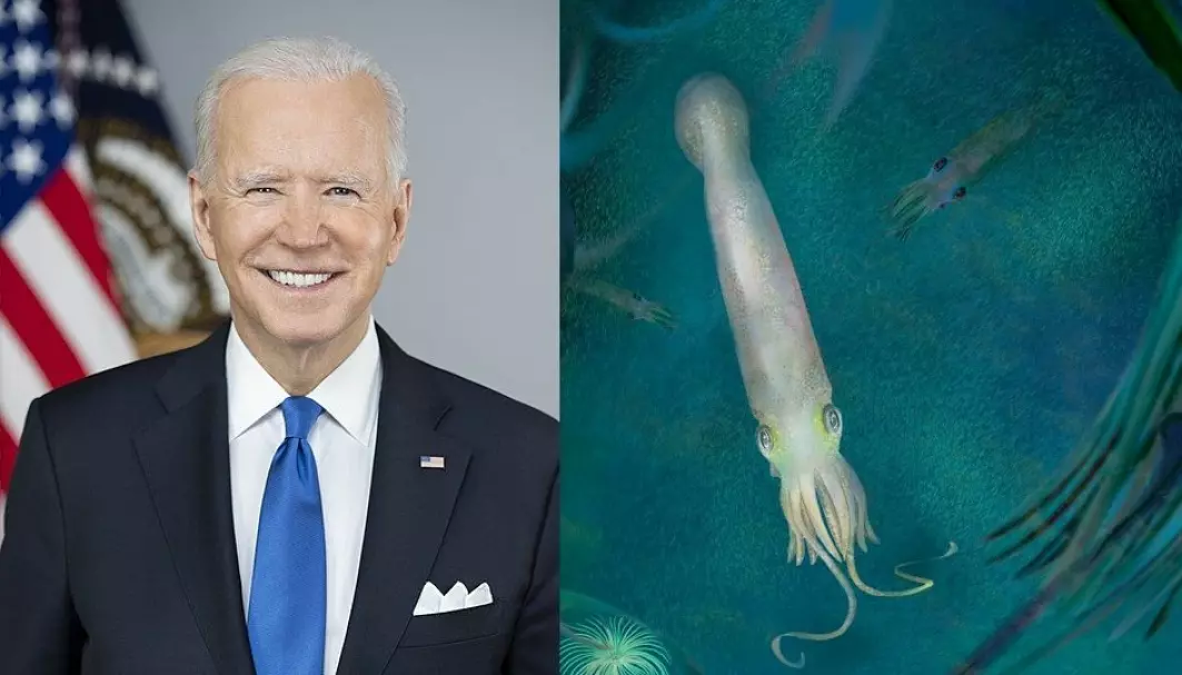 Rekordgammel blekksprut er blitt oppkalt etter USAs president Joe Biden.