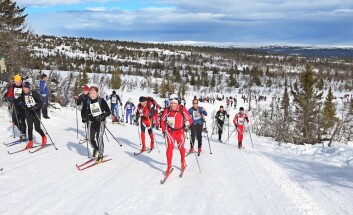 (Foto: Birkebeinerrennet) (Foto: Birkebeinerrennet)