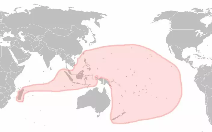 "Den austronesiske språkfamilen er en av verdens største og dekker store deler av Stillehavet. (Illustrasjon: Wikimedia Commons)"