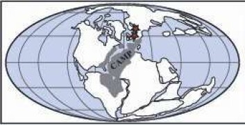 Kartet viser hvordan alle kontinenter satt sammen i er stort kontinent, Pangea. Camp står for Den Central-Atlantiske Magmatiske Provins, og det vil si utbredelsen av de vulkanske bergartene ved trias/jura-tiden. Stjernene viser hvor Sverige og Tyskland lå. Danmark var under vann. (Grafikk: Sofie Lindström, GEUS) Kartet viser hvordan alle kontinenter satt sammen i er stort kontinent, Pangea. Camp står for Den Central-Atlantiske Magmatiske Provins, og det vil si utbredelsen av de vulkanske bergartene ved trias/jura-tiden. Stjernene viser hvor Sverige og Tyskland lå. Danmark var under vann. (Grafikk: Sofie Lindström, GEUS)