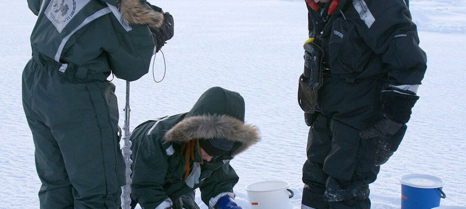 Prøvene ble tatt på Svalbard, to mil fra Ny Ålesund. (Foto: Privat)