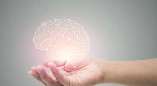 Hva er du villig til å gjøre for å få bedre hjernehelse?