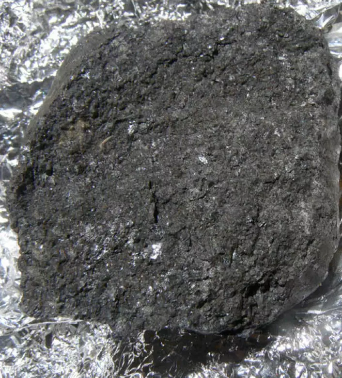 Nærbilde av meteoritt fra 2008 TC3. (Foto: NASA)
