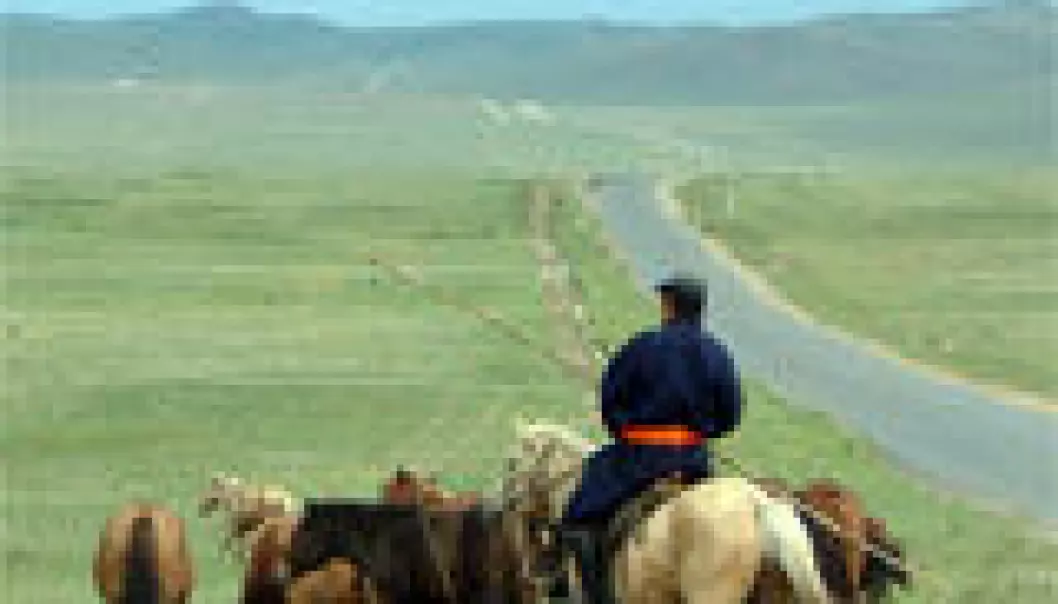 Hoppemelk fra Mongolia