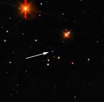 "Bildet er tatt ved det danske teleskopet i La Silla. Gammaglimtet/supernovaen er det blålige objektet som pilen peker på. De andre objektene i bildet er stjerner i vår egen galakse og fjerntliggende galakser." "Bildet er tatt ved det danske teleskopet i La Silla. Gammaglimtet/supernovaen er det blålige objektet som pilen peker på. De andre objektene i bildet er stjerner i vår egen galakse og fjerntliggende galakser."