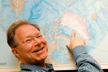 Det er kjent at isbjørnen på Øst-Grønland, Svalbard og mot Sibir inneholder mye miljøgifter. Nå måler professor Øystein Wiig tilstanden til den midterste isbjørnbestanden på Vest-Grønland. (Foto: Yngve Vogt) Det er kjent at isbjørnen på Øst-Grønland, Svalbard og mot Sibir inneholder mye miljøgifter. Nå måler professor Øystein Wiig tilstanden til den midterste isbjørnbestanden på Vest-Grønland. (Foto: Yngve Vogt)