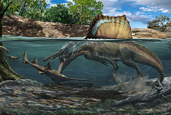 Den største rovdinosauren kan ha jaktet under vann