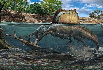 Den største rovdinosauren kan ha jaktet under vann
