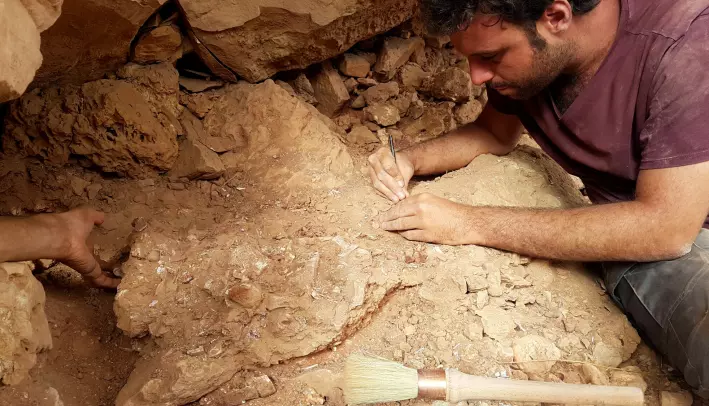 Her jobber Matteo Fabbri med å børste fram et fossil. Tenk at det går an å bruke slike gamle rester til å finne ut hvordan dyr levde for mange millioner år siden!