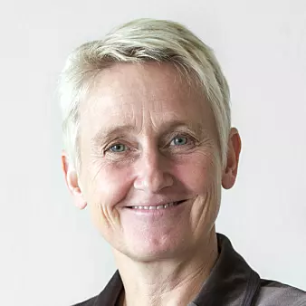 – Norsk forskning på kvinnedeltakelse i bedriftsstyrer kan roe amerikanske gemytter, mener professor Karin Thorburn ved institutt for finans, NHH.