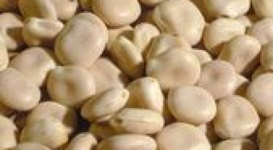 Allergikere kan reagere på lupinmel