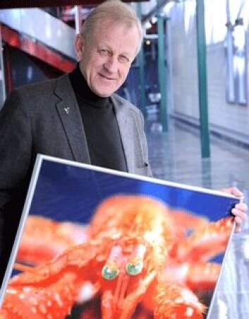 Professor Trond Ø. Jørgensen og hans kolleger ved MabCent finner de utroligste skapninger i sin jakt på marine organismer i arktiske strøk. Professor Trond Ø. Jørgensen og hans kolleger ved MabCent finner de utroligste skapninger i sin jakt på marine organismer i arktiske strøk.