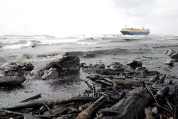 Oljesøl kan skade både økosystemer, kystlinjer og næringslivet langs kysten. (Foto: Shutterstock)