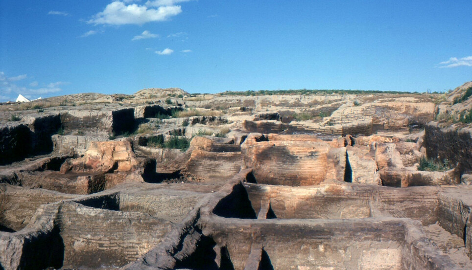 Deler av Catalhöyük fra de første utgravningene på 1960-tallet.