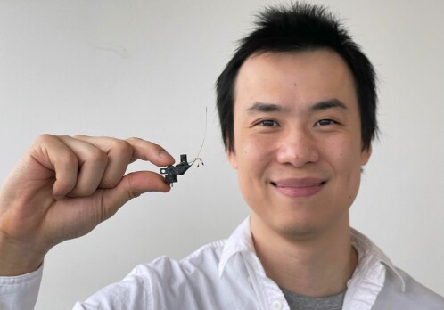 Mini2P – an open-source miniature brain microscope