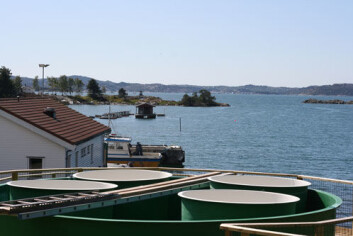 Landbaserte og flytende (i bakgrunnen) vanntanker ved Espegrend marinbiologiske forskningsstasjon blir blant annet brukt til å finne ut mer om sirkulasjonsmønstrene i vann. Landbaserte og flytende (i bakgrunnen) vanntanker ved Espegrend marinbiologiske forskningsstasjon blir blant annet brukt til å finne ut mer om sirkulasjonsmønstrene i vann.