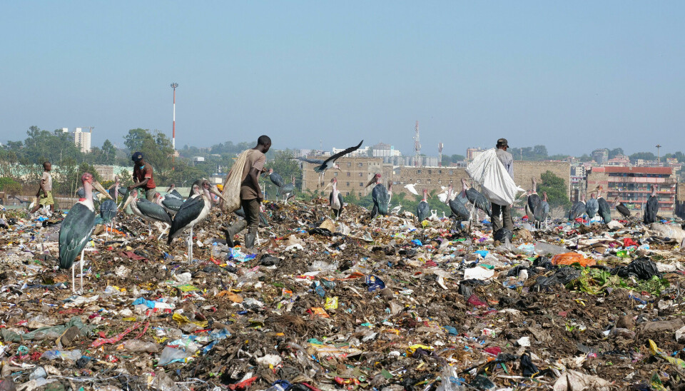 Dandora er Nairobis største avfallsplass. Hver dag havner 3.000 tonn søppel her.