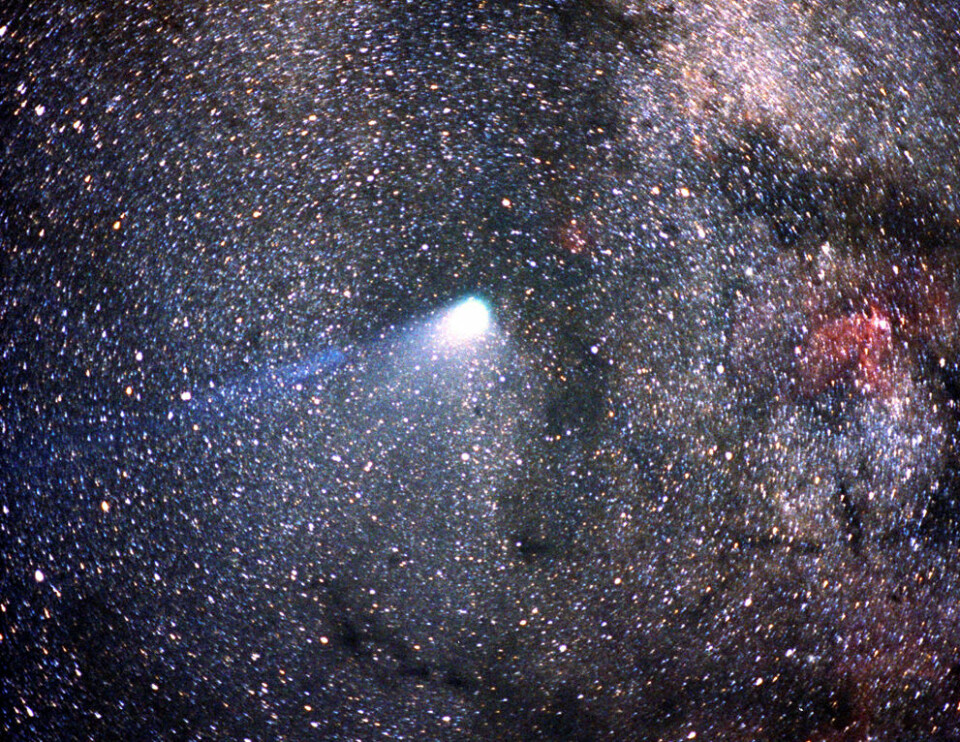 Halleys Komet, knipset i 1986. Denne kometen har en relativt kort bane, og dukker opp nær jorda med 75 til 76 års mellomrom. Men kometene med lengre bane har vi mindre oversikt over. De kan dukke opp når som helst. (Foto: Kuiper Airborne Observatory/NASA)