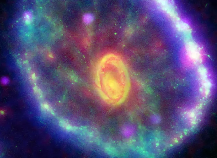 Galaksen ESO-40 (Cartwheel Galaxy, Vognhjulgalaksen) i det sydlige stjernebildet Sculptor. Den kolliderte med en mindre galakse for 100 millioner år siden. Den blå ringen er en sone av nydannede stjerner. Den sprer seg som en sjokkbølge ut fra kollisjonen. Fargene er syntetiske, dannet ut fra flere enkeltbilder i ultrafiolett, synlig og infrarødt lys. (Foto:  NASA/JPL-Caltech/P. N. Appleton (SSC/Caltech))