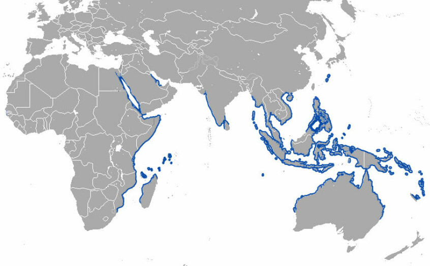 Dugong-områdene er farget i blått.
