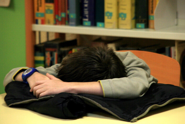 (Foto: Colourbox) (Foto: Colourbox)