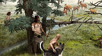 Hvorfor temmet ikke neandertalerne ulven?