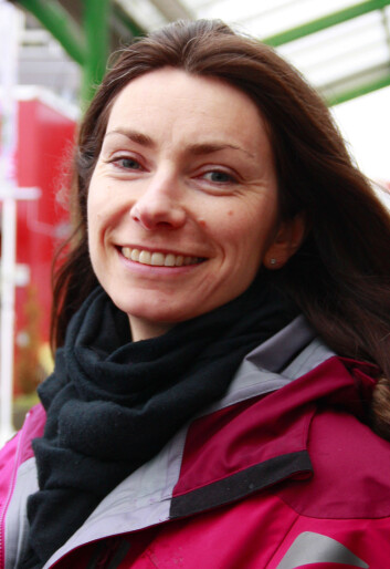 Birgit Nestvold Singstad. (Foto: Heidi Elisabeth Sandnes) Birgit Nestvold Singstad. (Foto: Heidi Elisabeth Sandnes)