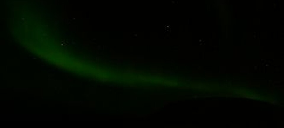 Nordlyset sett fra Svalbard, klokka 7:30 i dag tidlig. (Foto: Magnar Gullikstad Johnsen)