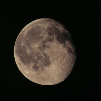 (Foto: Colourbox) (Foto: Colourbox)