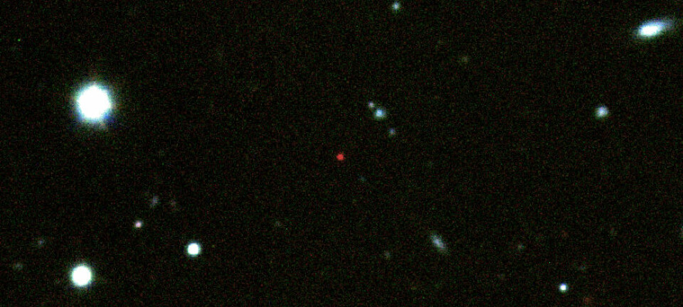 GRB 090423 er den lille, veldig røde lyskilden midt på dette bildet. Den røde fargen henger sammen med den store avstanden - rundt 13,1 milliarder lysår - siden alt optisk lys har blitt absorbert av intergalaktisk hydrogengass, er det bare det infrarøde lyset vi ser. Alle de andre galaksene og stjernene på bildet er mye nærmere oss, og befinner seg tilfeldigvis på den samme fliken av himmelen. (Foto: A.J.Levan & N.R.Tanvir)