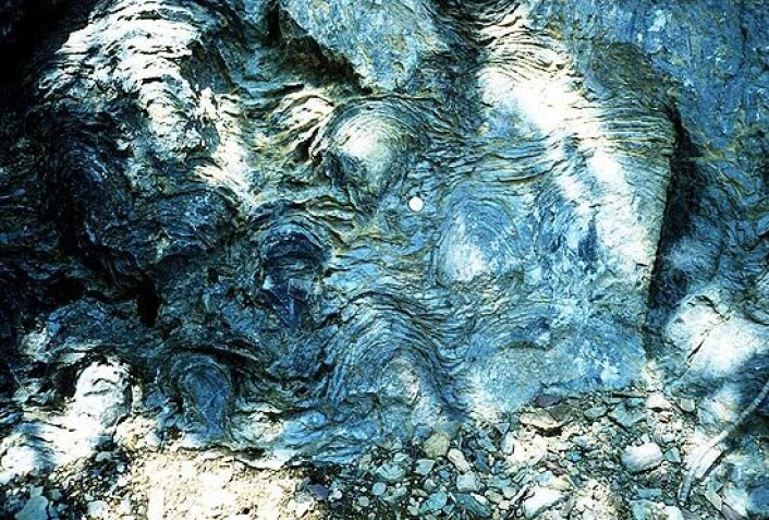 Virveldyr oppstod i prekambrium, men det prekambriske eonet er mest kjent for sine fossile stromatolitter. (Foto: P. Carrara) Virveldyr oppstod i prekambrium, men det prekambriske eonet er mest kjent for sine fossile stromatolitter. (Foto: P. Carrara)