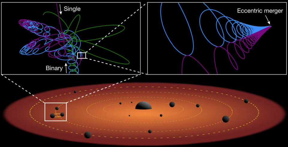 Nederst: En flat gasskive (ikke skalert) med et supermassivt svart hull i midten og en rekke mindre svarte hull i bane. Noen ganger danner noen av de mindre svarte hullene par, og da kan det skje det at et tredje svart hull braser inn i paret. Øverst: Resultatet av kollisjonen er at parets bane går fra å være sirkelformet til å bli elliptisk. I elliptiske baner veksler avstanden mellom de svarte hullene fra å være liten til å være stor, og det gjør at de gravitasjonsbølgene som sendes ut, har en annerledes kurve enn fra en sirkulær bane.