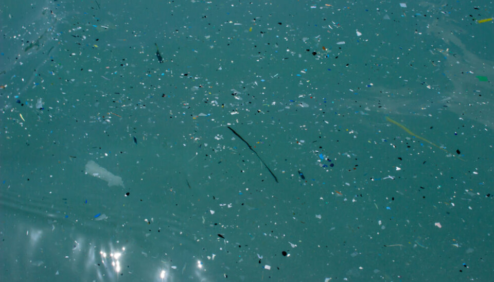 Plast i havet kan skade fisk som blir viklet inn i det, får ødelagt gjellene sine, blir forgiftet eller får fylt opp magen.