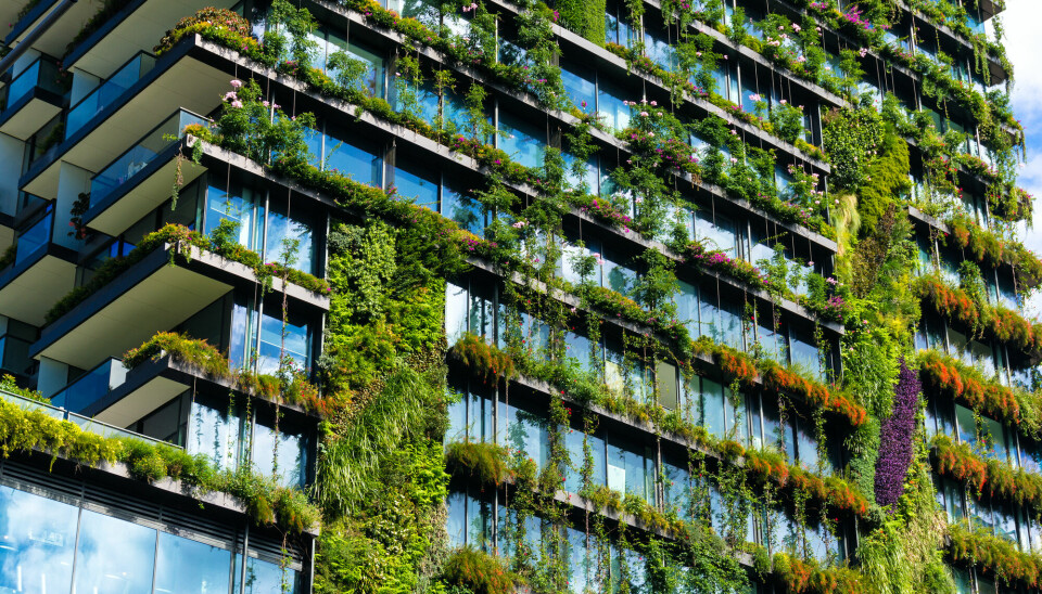 Grønne byer kan binde mer CO2.