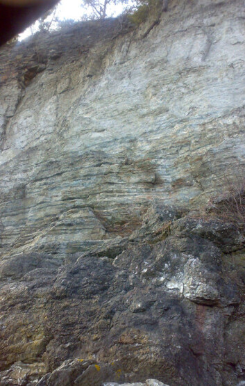 Ti meter tykk vegg av sedimentære bergarter av kalk- og sandstein fra Ordovicium. (Foto: Bjoertvedt) Ti meter tykk vegg av sedimentære bergarter av kalk- og sandstein fra Ordovicium. (Foto: Bjoertvedt)