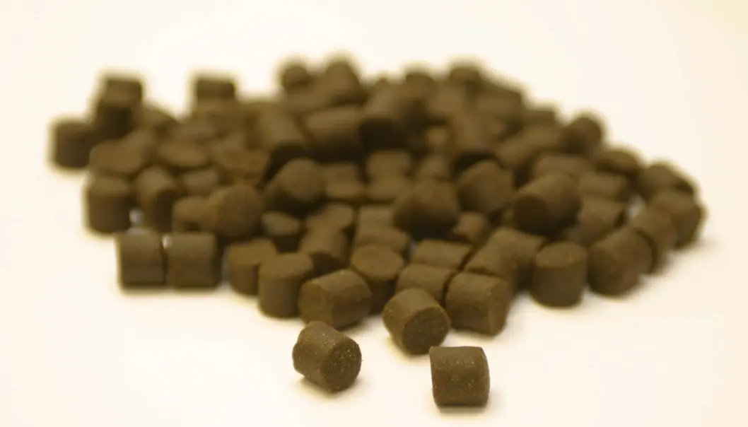 Nye fôringredienser som insektmel, encelleprotein, fermenterte produkter og mikroalger utgjorde kun 0,4 prosent av det totale volum i laksefôr i 2020. Nye fôringredienser som insektmel, encelleprotein, fermenterte produkter og mikroalger utgjorde kun 0,4 prosent av det totale volum i laksefôr i 2020.