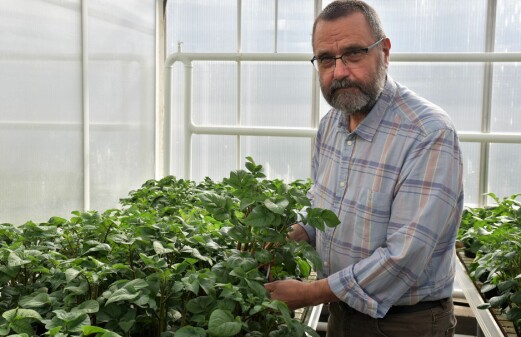 40 years of service to plant virology