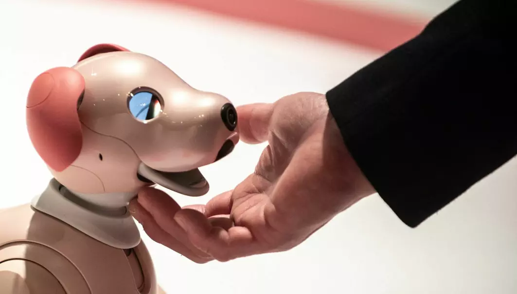 En liten japansk hunderobot som trolig ikke ser så godt. I fremtiden vil denne kunne ha et laser-kamera som hjelper den med å se like bra som oss.