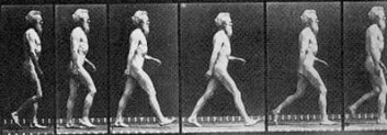 Klassisk energisparende gange for oss tobente. Her ses den engelske fotografen Eadweard Muybridge (1830-1904). Her har han tatt bilder av seg selv med flere kameraer for å vise bevegelse. De aller fleste av oss mennesker setter hælen først i bakken når vi går. (Foto: E. Muybridge) Klassisk energisparende gange for oss tobente. Her ses den engelske fotografen Eadweard Muybridge (1830-1904). Her har han tatt bilder av seg selv med flere kameraer for å vise bevegelse. De aller fleste av oss mennesker setter hælen først i bakken når vi går. (Foto: E. Muybridge)
