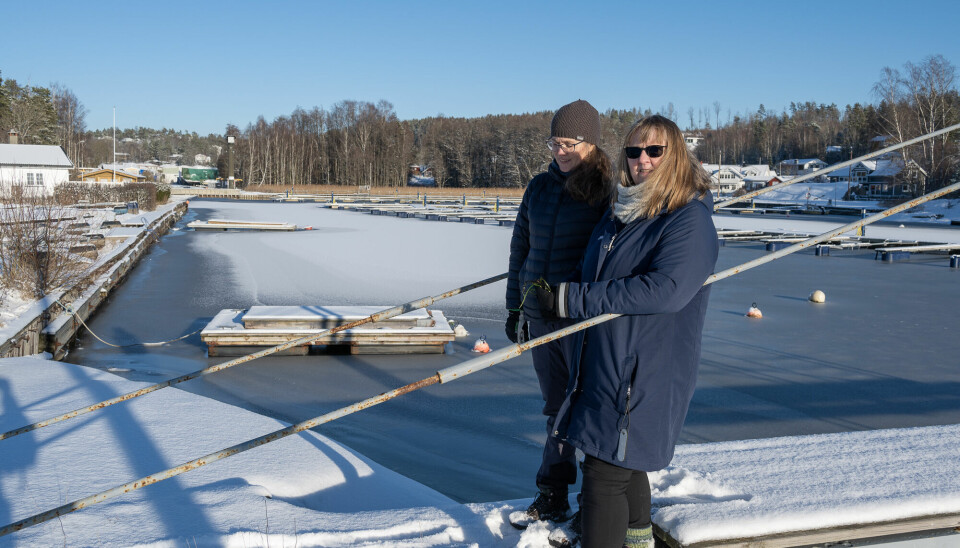 Forskerne May Bente Brurberg og Venche Talgø har undersøkt helsetilstanden til ålegraset i Oslofjorden.