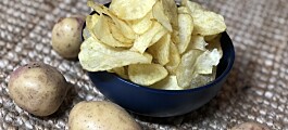 Dårlige poteter fra chipsindustri blir verdifull kompost