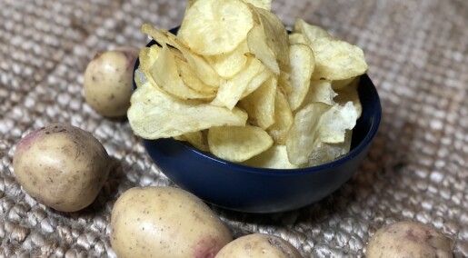 Dårlige poteter fra chipsindustri blir verdifull kompost Dårlige poteter fra chipsindustri blir verdifull kompost