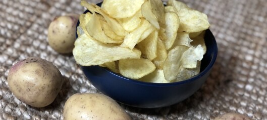 Dårlige poteter fra chipsindustri blir verdifull kompost