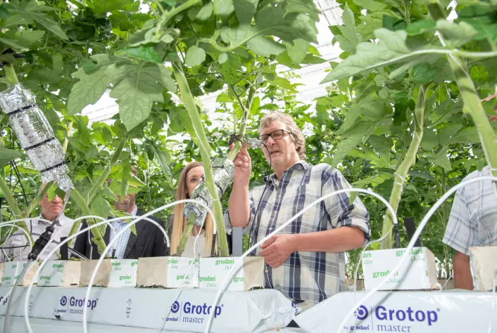 Michel Verheul forteller at omstilling til strøm vil gjøre veksthusnæringa i stand til å tilby et klimavennlig alternativ til importert frukt og grønt – også om vinteren.