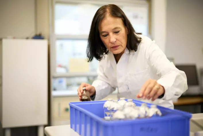 På laboratoriet til Åsa Frostegård har hun milliarder av «husdyr», altså bakterier, som kan spise lystgass.