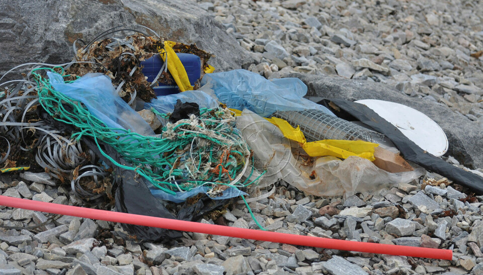 Strandsøppel på Svalbard.