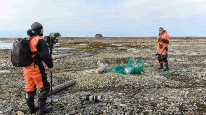 Miljøgiftforsker Geir Wing Gabrielsen og et filmteam var på strendene ved Kapp Mitra på Svalbard. Her finner de en død reinsdyrbukk fanget i rester av fiskegarn.