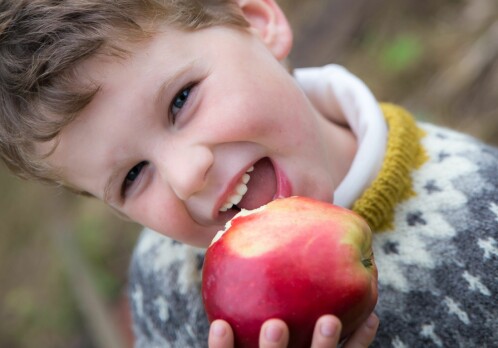 The sense of apples as part of cultural identity